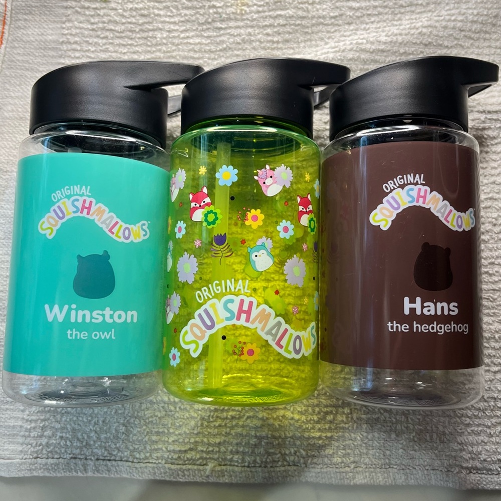 Squishmallows Kids Water Bottles - Blue, Green, Brown - Picture 3 of 5